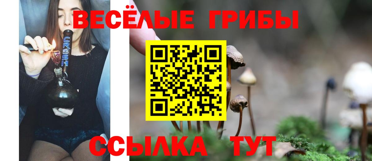 Псилоцибиновые грибы мухоморы  Вход с VPN  Гуково 